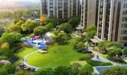 成都公园爆料视频下载大全,一窥城市绿肺的活力瞬间